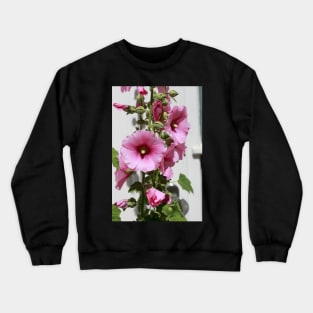 Hollyhock, hollyhock, hollyhock, flower, blossom, pink Crewneck Sweatshirt